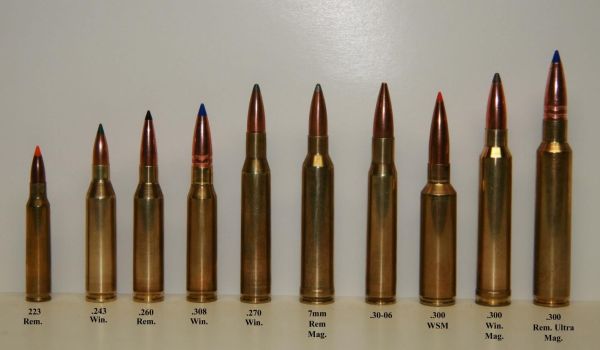308 compared to 223 and 30.06