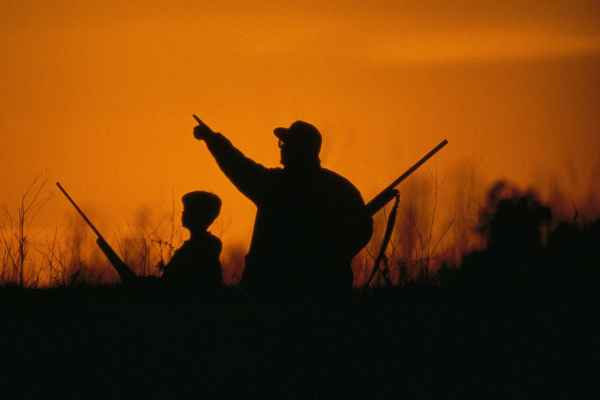 pheasant and dove hunting