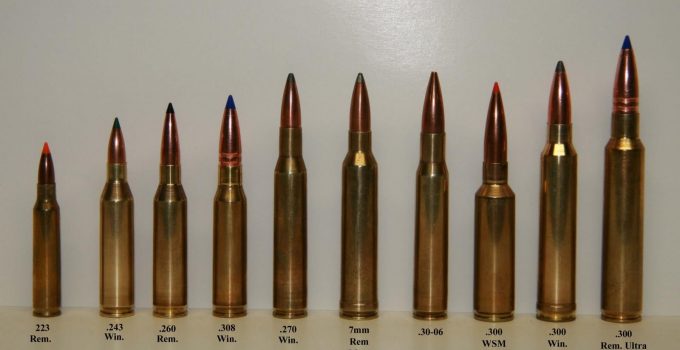 Why 308 is the Best for Hunting | Comparing .308 vs .223 and .30-06