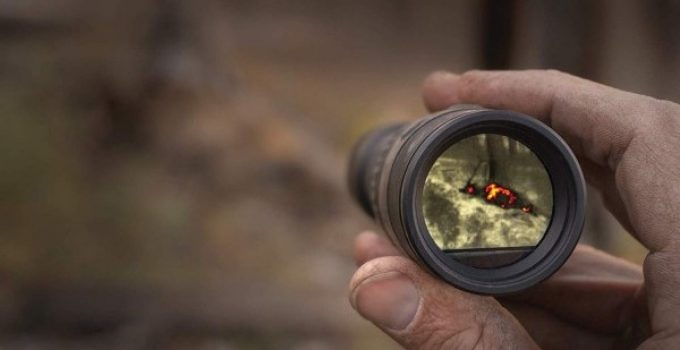 The 5 Best Thermal Monoculars: Coyote Hunting to Birding!