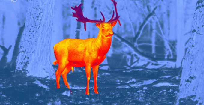 Thermal Imaging for Hunting: Really Worth It?